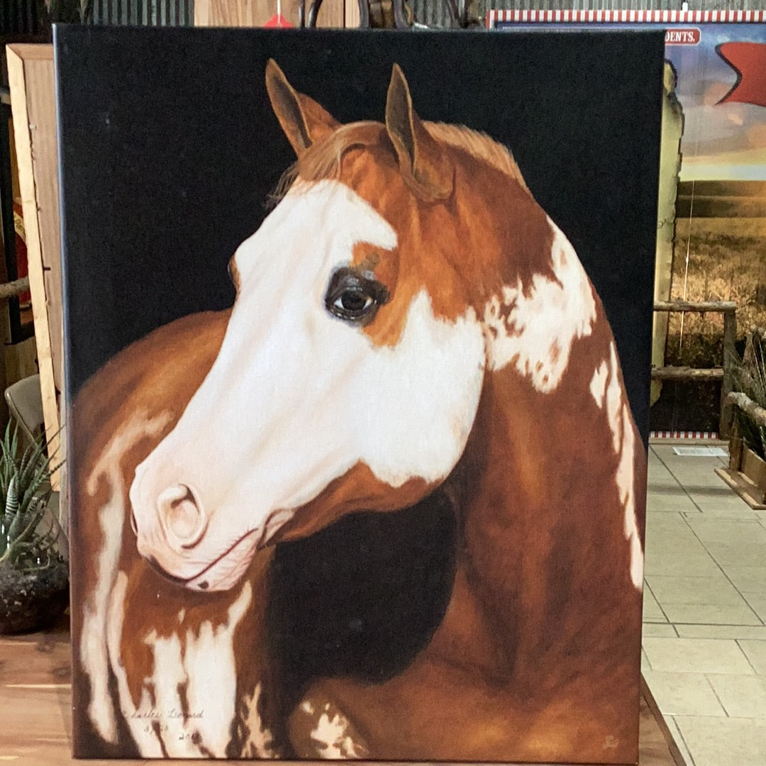 Spotted Horse Painting Oil on Canvas